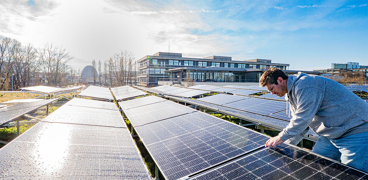 Picture of the News article CALA harvests sunlight