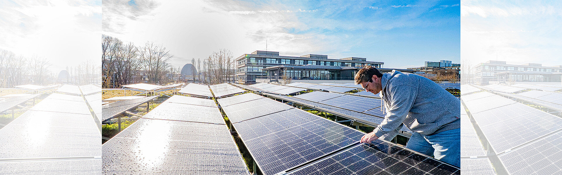 Picture of the News article CALA harvests sunlight